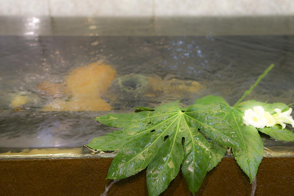 Kamiyamada Hotel Csikuma Kültér fotó
